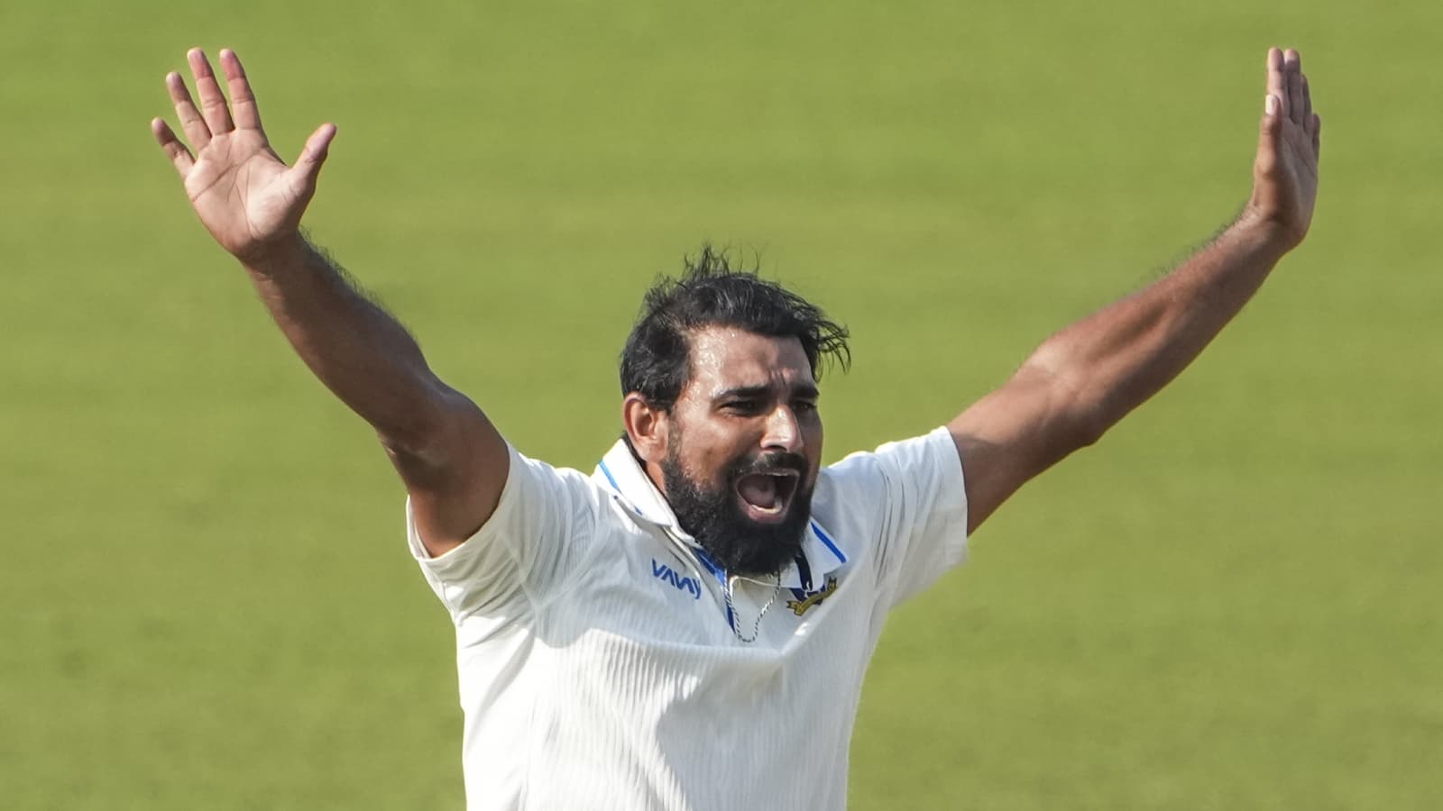 Story Highlights