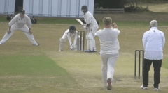 Story Highlights
