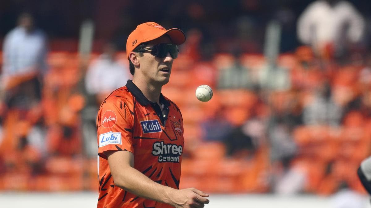 Story Highlights